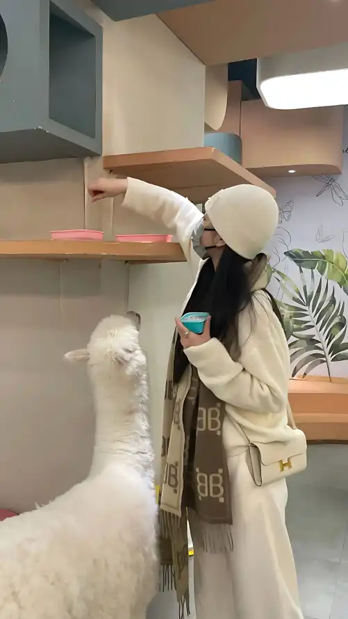 黄网站色成年片大免费高清_欧洲美女黑人粗硬暴交了人_免费的av网站在线观看国产精品